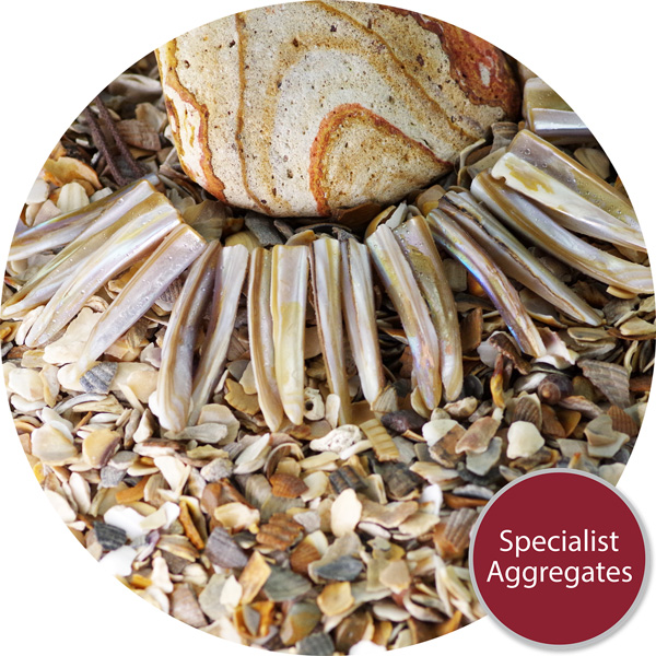 Buy Crushed Sea Shells Oyster & Clam Specialist Aggregates Ltd
