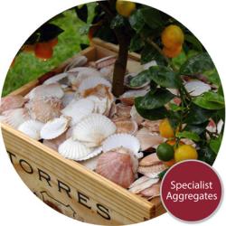 Sea Shells from Specialist Aggregates