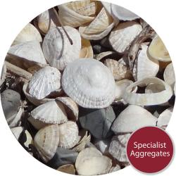 Discovery of Limpet Rings